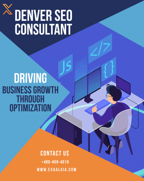 Denver SEO Consultant Driving Business Growth through Optimization