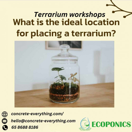 EcoPonics offers the best terrarium kits in Singapore which you can use to design on your own. You can buy from our wide range of terrarium plants and craft supplies from our online shop in Singapore. 
Website:https://www.ecoponics.com.sg/
Phone: 6553 5663
Address: 37 Jalan Pemimpin MAPEX #03-10 Singapore 577177
Business Email: contact@ecoponics.com.sg