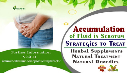 Learn about natural treatments that may help to reduce Accumulation of Fluid in Scrotum. Find out more about what causes this condition. https://www.natural-health-news.com/accumulation-of-fluid-in-scrotum-natural-treatment/