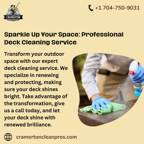 Sparkle Up Your Space Professional Deck Cleaning Service