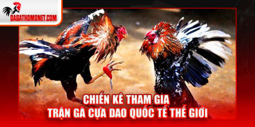 Xám Thần là chiến kê tham gia trận gà cựa dao quốc tế thế giới của anh Dũng Hòa Vinh đến từ thành phố Vũng Tàu, Việt Nam. Thần gà này có cân nặng 4kg, sở hữu thân hình cao lớn, mạnh mẽ. Theo quan sát thông qua các trận đấu, tuyệt kỹ của “thần gà” này là cú đá móc trái có thể dứt điểm bất kỳ đối thủ nào.
#dagacuadao #dagathomo