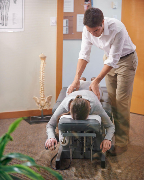 Evolve Chiropractic of Cumberland;8600 W Bryn Mawr Ave # 100N, Chicago, IL 60631, United States;773-