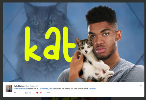kat kitten