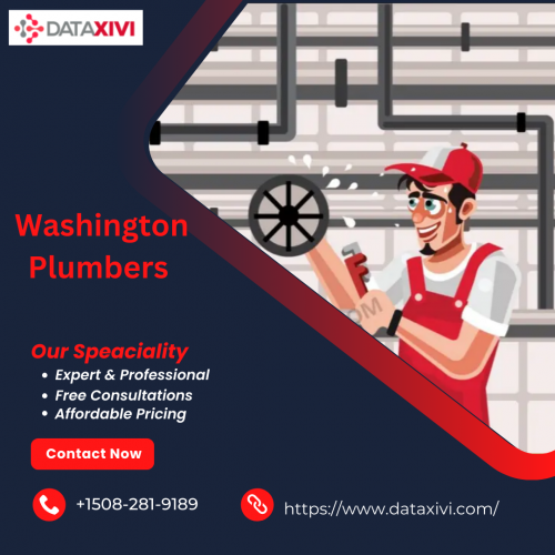 DataXiVi, your reliable choice for plumbing solutions, proudly serves as Washington plumbers with expertise and dedication. From routine maintenance to emergency repairs, our skilled team ensures top-notch service and customer satisfaction. Trust DataXiVi for all your plumbing needs in the Washington area, delivering excellence with every job.

https://www.dataxivi.com/plumbers/us/washington