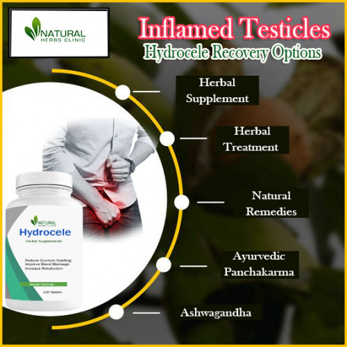 Experience relief from Inflamed Testicles with the power of herbal supplements specifically designed for hydrocele. Discover the potency of natural remedies in treating and managing hydrocele with our specialized herbal treatment. https://www.fimfiction.net/blog/1031962/addressing-inflamed-testicles-with-confidence-pass-healthy-life