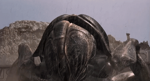 6 Trim ezgif.com resize