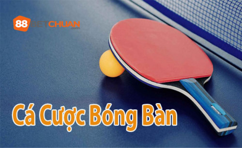 Bóng bàn, môn thể thao đòi hỏi sự phối hợp nhuần nhuyễn giữa tốc độ, kỹ năng và chiến lược, không chỉ là tranh tài giữa các tay vợt hoặc đội chơi. Trong mỗi cú đánh, mỗi lần bóng di chuyển trên mặt bàn, sự chú ý và tập trung của người chơi được thể hiện rõ nét.
Cá cược bóng bàn mở ra cánh cửa tham gia vào những trận đấu nảy lửa, với việc dự đoán kết quả dựa trên tỷ lệ do nhà cái 188Bet đề xuất. Bạn không chỉ đơn thuần là người xem mà còn trở thành một phần của cuộc thi, tận hưởng từng khoảnh khắc căng thẳng của trò chơi.
Điểm đặc biệt của bóng bàn là mỗi trận đấu diễn ra qua 5 set. Người chơi cần chiến thắng ít nhất 3 trong số đó để đạt được thắng lợi, với mục tiêu mỗi set là 11 điểm. Nếu có tỷ số hòa ở set thứ 3, cuộc đấu sẽ tiếp tục cho đến khi một bên tạo ra khoảng cách 2 điểm.

Xem chi tiết tại:  https://128.199.151.183/ca-cuoc-bong-ban/ 
Trang liên quan: https://twitter.com/188bet183 
#cacuocbongban #88bet_183 #188bet_183 #188Bet #nha_cai_188Bet #nha_cai #casino