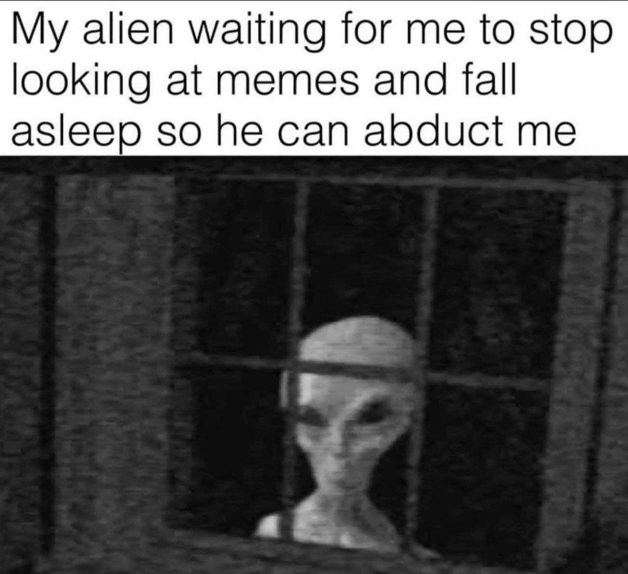 [Image: SGFFt.jpg]