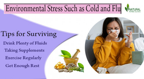 Learn how to survive Environmental Stress Such as Cold and Flu with these helpful tips. Discover ways to boost your immune system. https://www.naturalherbsclinic.com/blog/environmental-stress-such-as-cold-and-flu-tips-for-surviving/