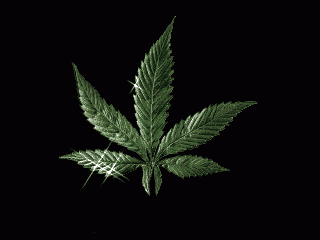 12582907animated hemp marijuana gif 6