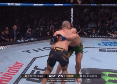 b2C9E.gif