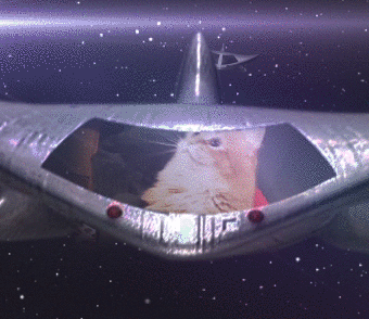 https://s13.gifyu.com/images/b2ELq.gif