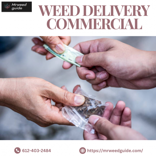 Experience the ease of weed delivery services, bringing high-quality cannabis products straight to your door. Perfect for busy schedules or discreet purchases, these services offer a wide range of products, from flowers and edibles to concentrates and CBD. With fast, secure, and professional delivery, getting your favorite cannabis products has never been more convenient. Explore trusted weed delivery options tailored to meet your lifestyle needs.