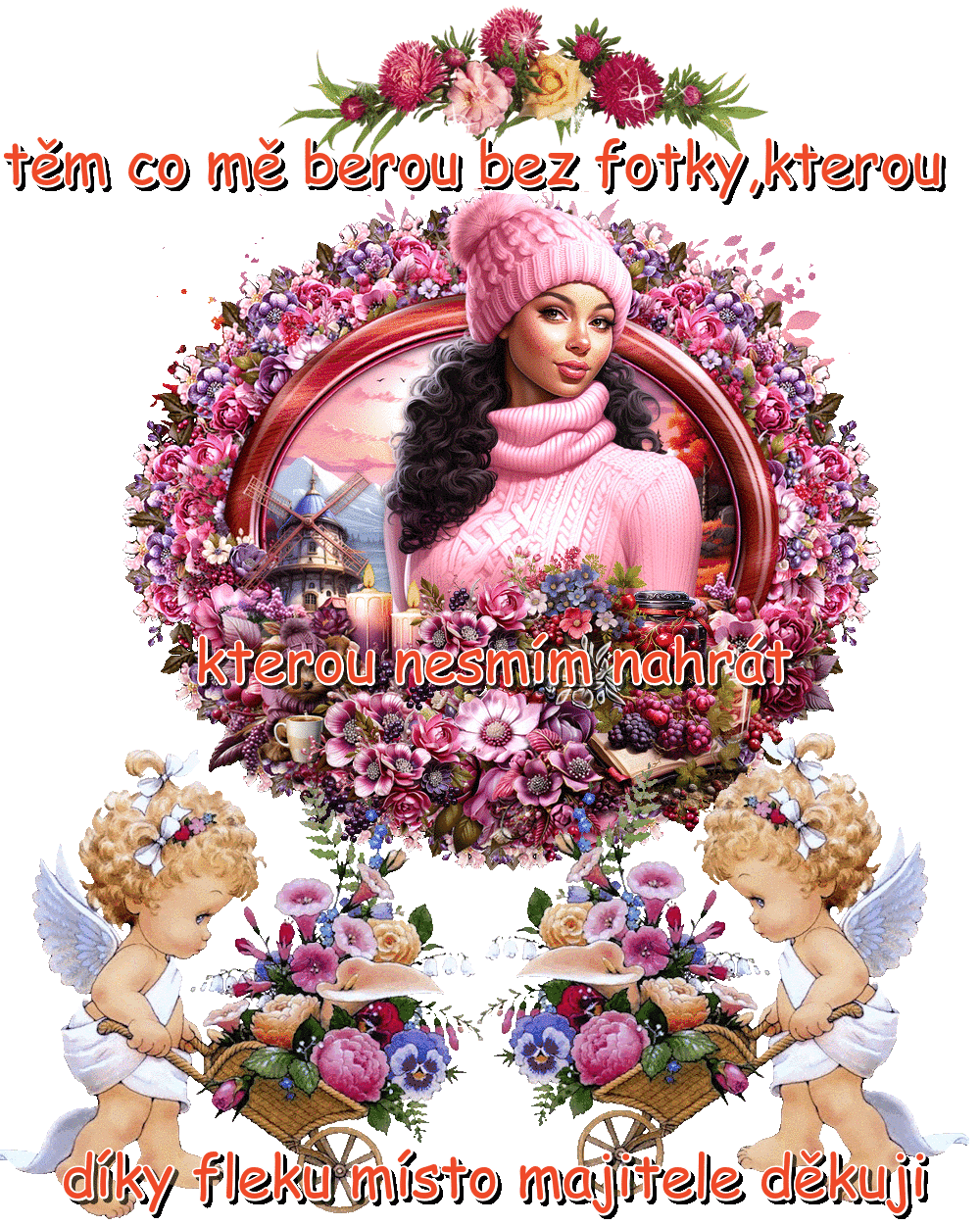 SÍKORKA DNES
