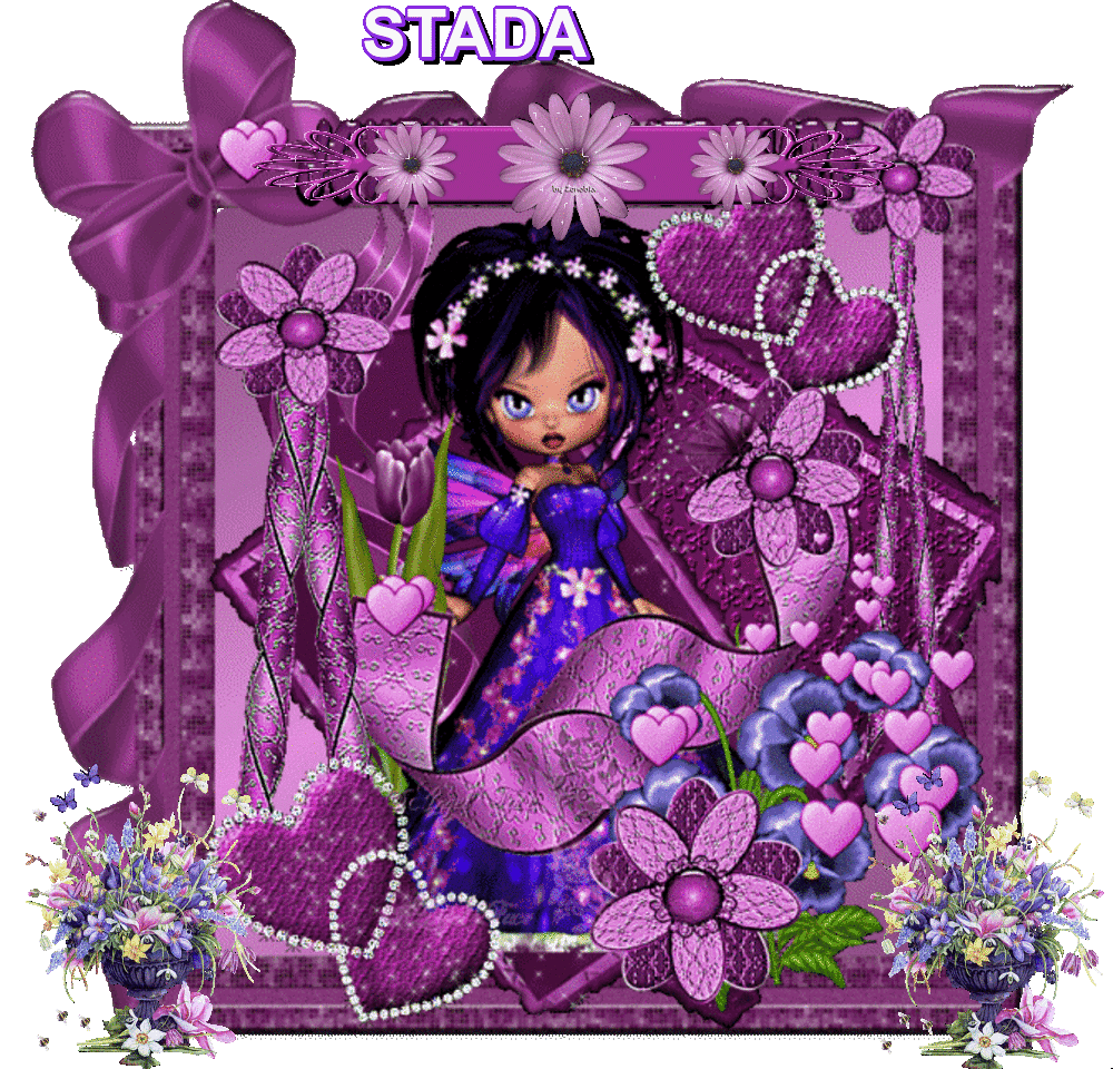 STANDA HNED
