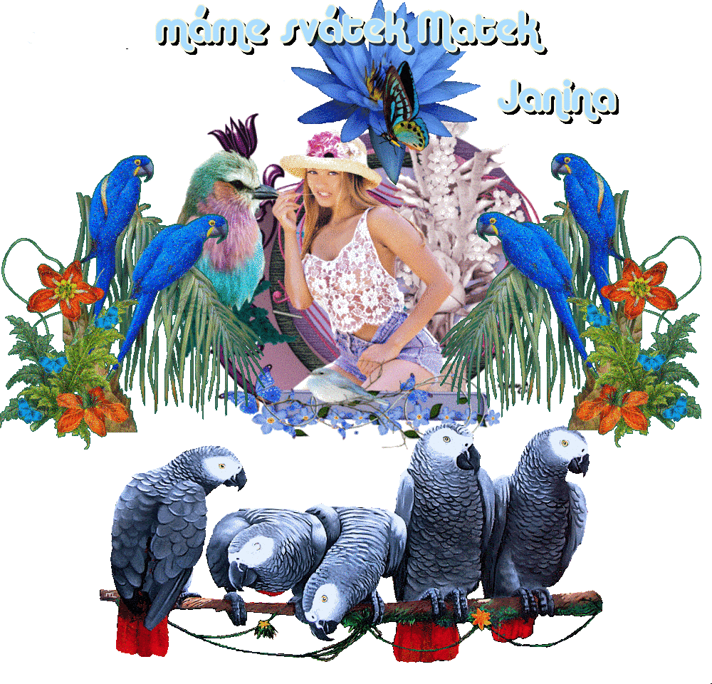 svátek matek janina