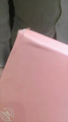 GIF Image