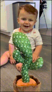 1971242EyOSfqUF