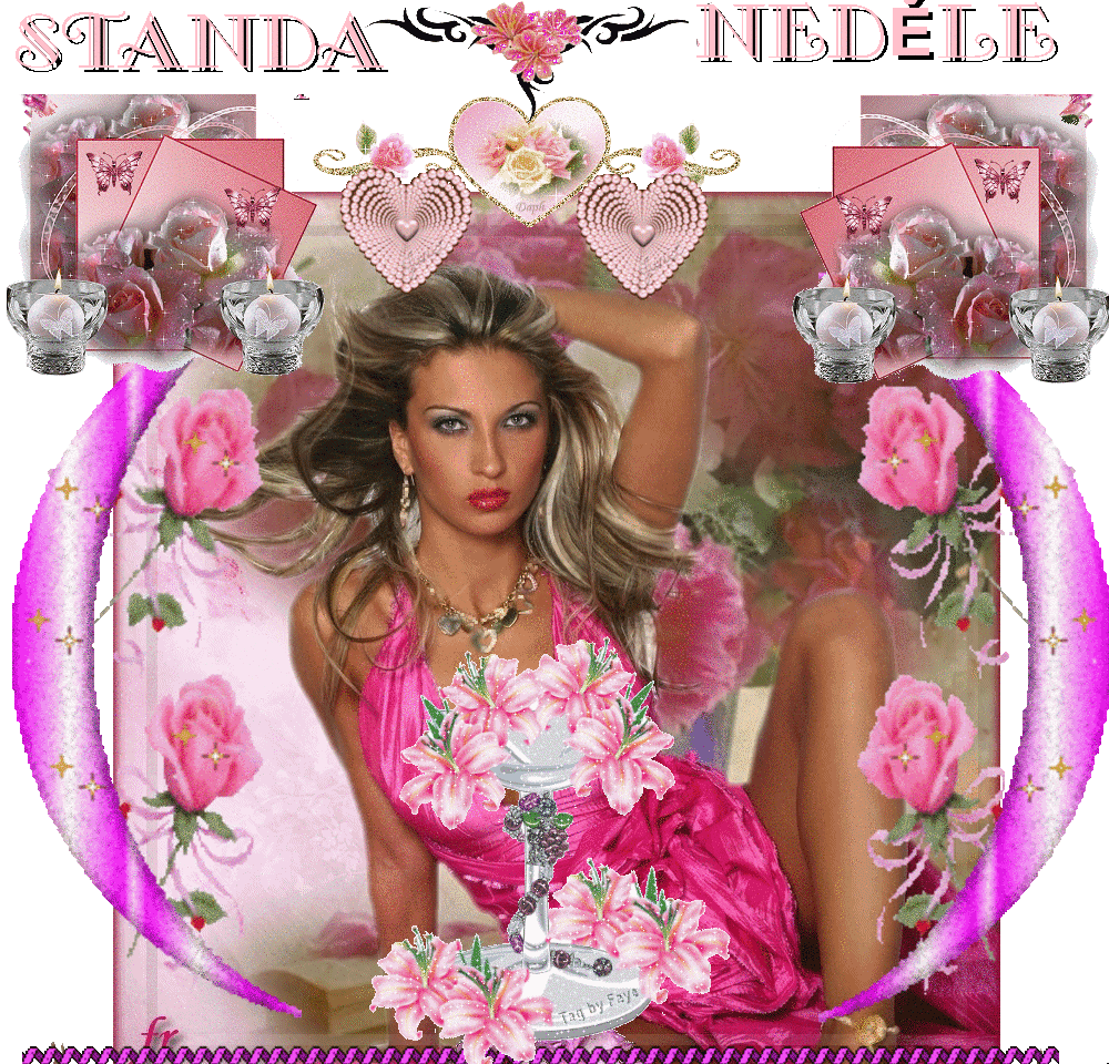 STANDA NEDĚLE