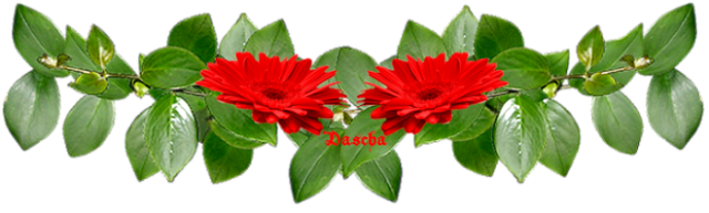 5.L zelenočerv sp