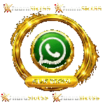 Whatsapp 2