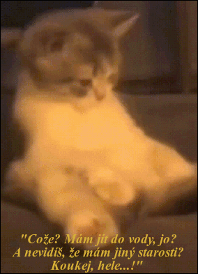 gGHzu5h2AYrQ