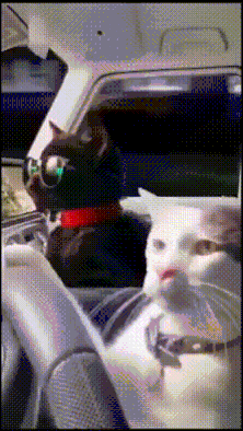 QiAqkqKP2Y2R
