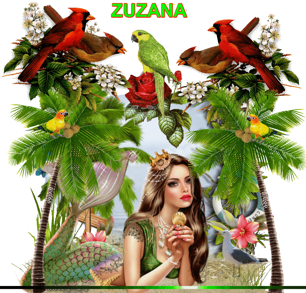 ZUZANA
