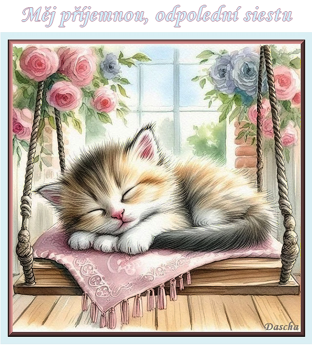 2.HT odpol siesta