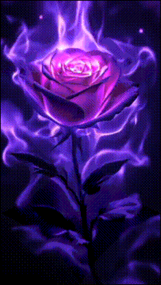 ezgif 746a31dfd884354c