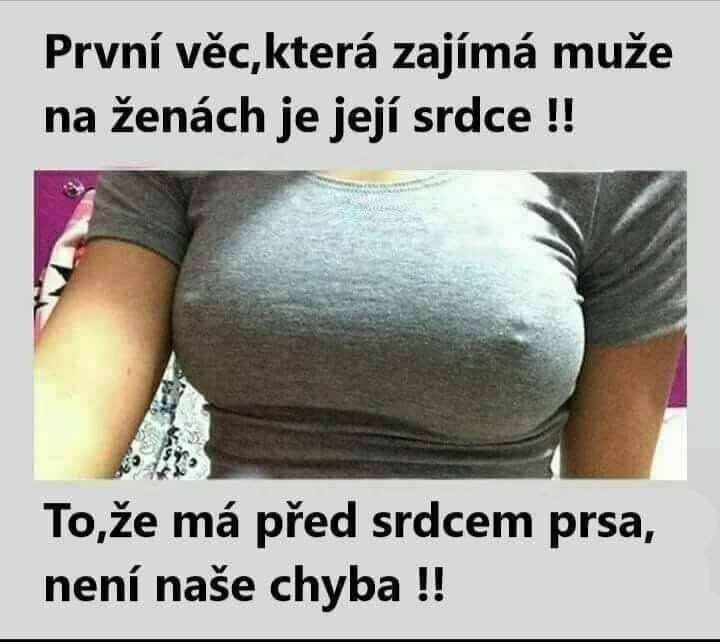 stažený soubor