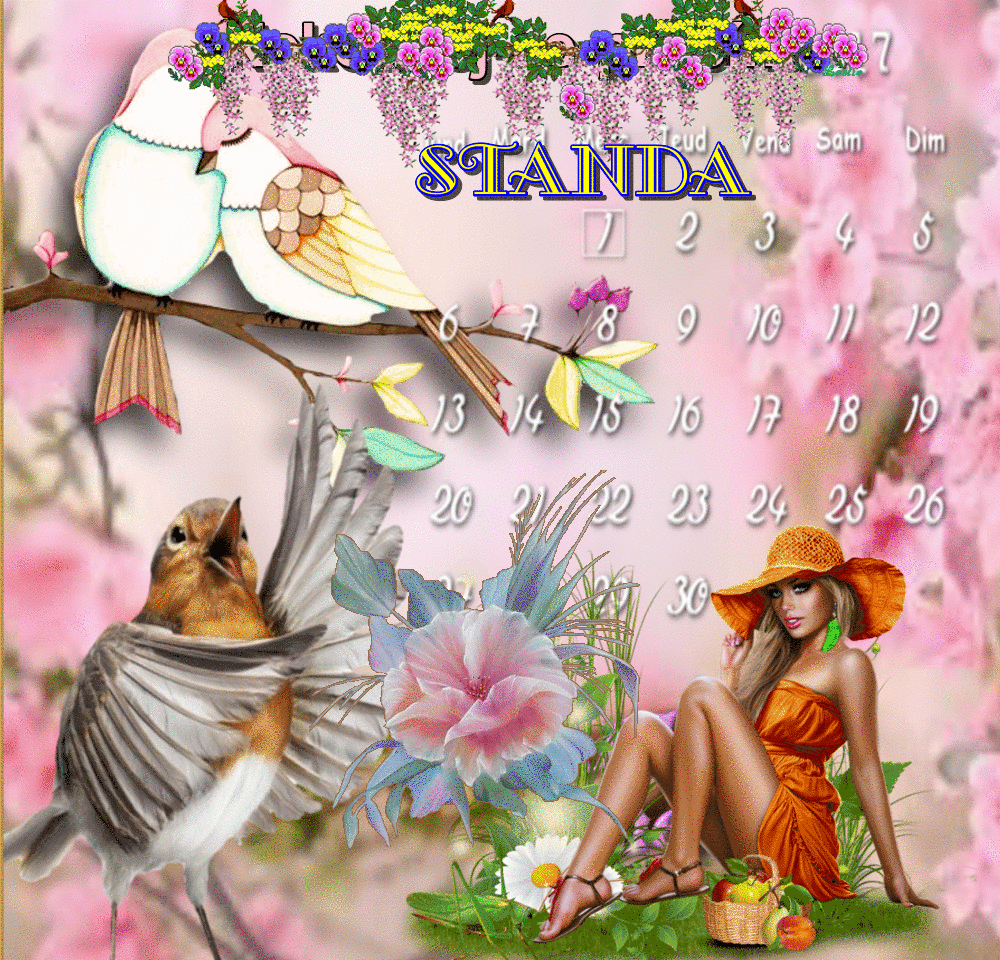 STANDA