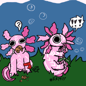 Axolotl twins