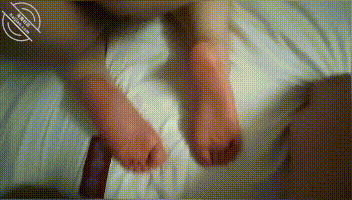 GIF Image