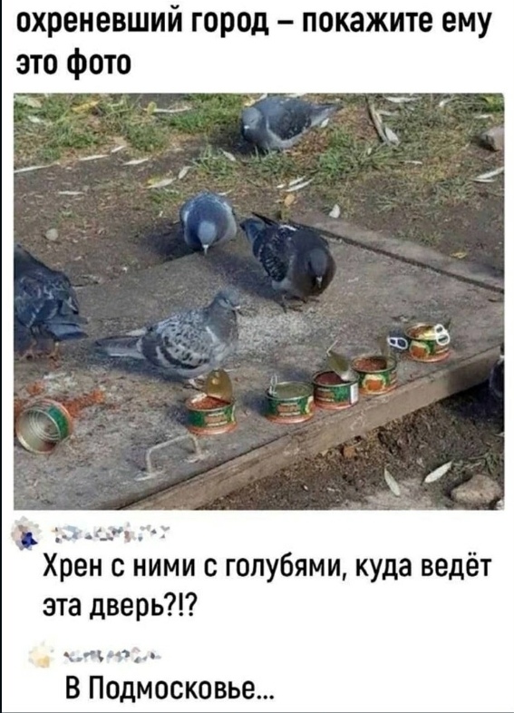 b7oY5.jpg