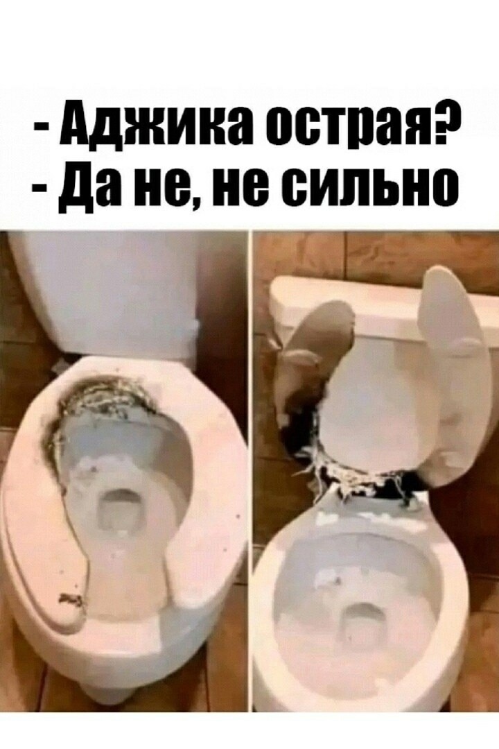 b7oYT.jpg