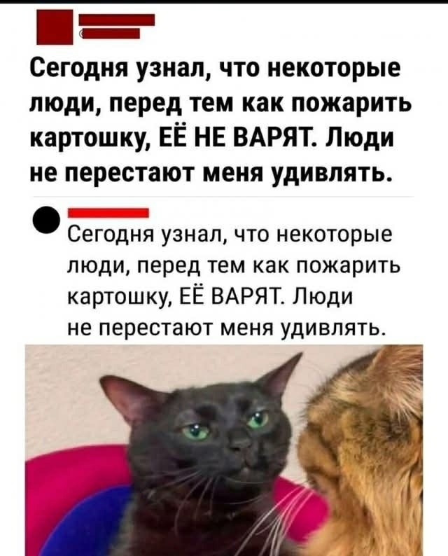 b7oYt.jpg