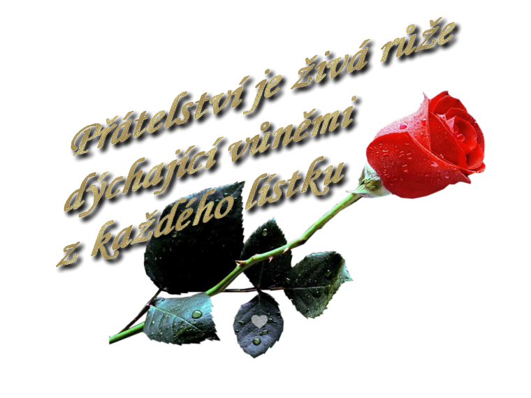6neyfypuy2vfm0rgpy5