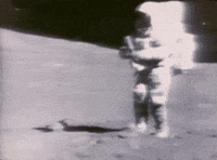 b7yNO.gif
