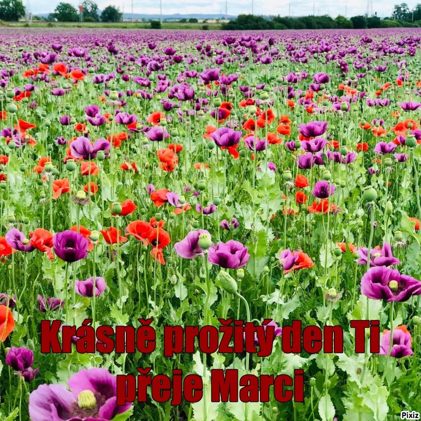 300c0e0ecb4ad193971eb7fdeee22346