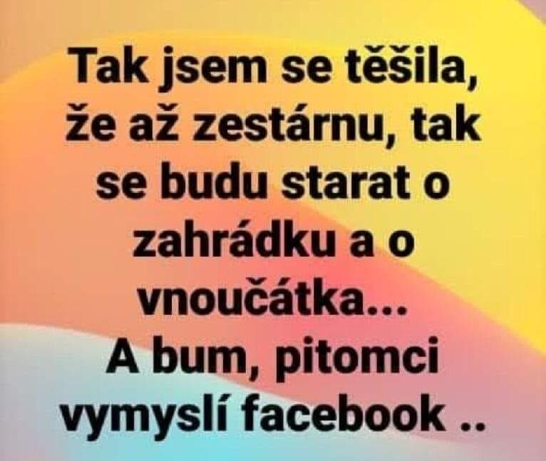 stažený soubor (50)