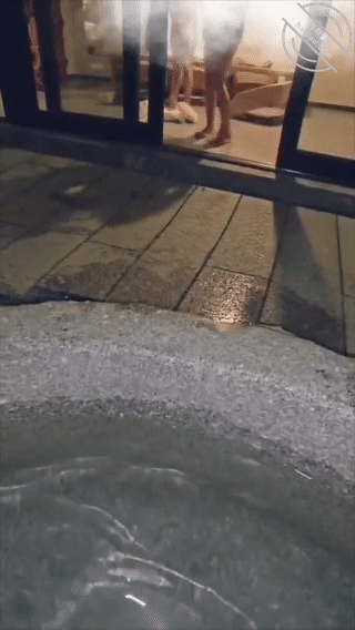 GIF Image