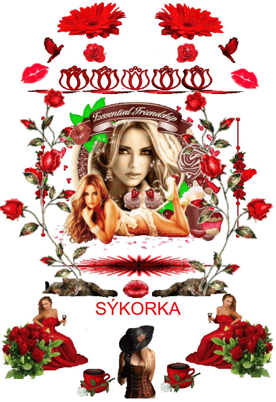 SÝKORKA