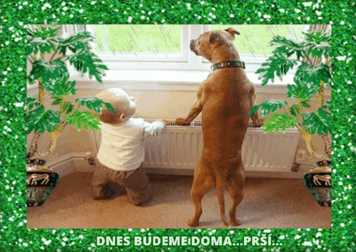 bI64y.gif