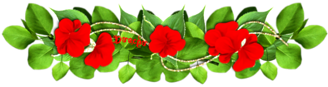 1.L červ 4 sp