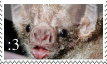 IMG 2587