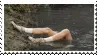 IMG 2607