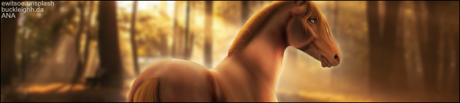 bI9S8.png