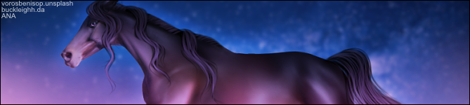bI9Sl.png