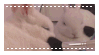 IMG 2371